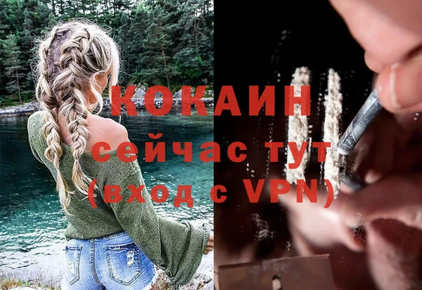 ПСИЛОЦИБИНОВЫЕ ГРИБЫ Армянск