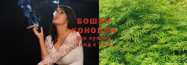 ПСИЛОЦИБИНОВЫЕ ГРИБЫ Армянск