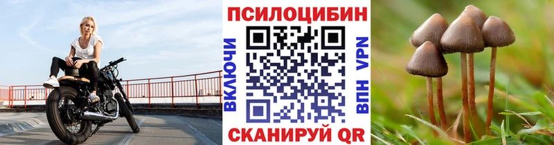Псилоцибиновые грибы GOLDEN TEACHER  Нарткала 