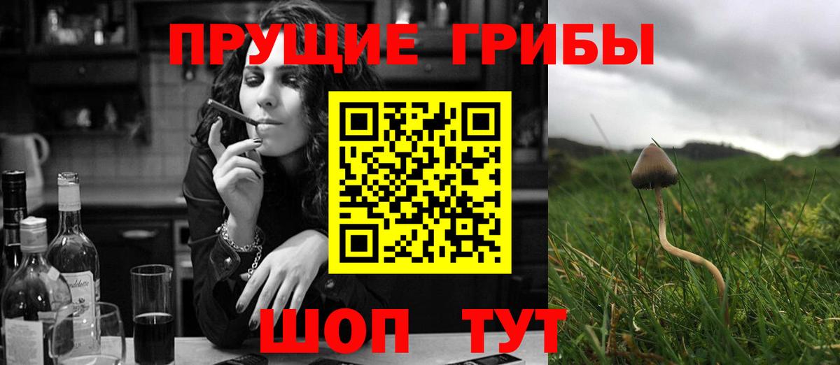 Нарткала  Псилоцибиновые грибы MAGIC MUSHROOMS  Псилоцибиновые грибы ЛСД  Вход с VPN 